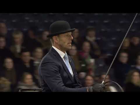 HK 2023 | Horses2Fly KFPS Sport Competition Harnesses | Part 2 | German