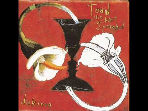 Toad the wet sprocket - Something's always wrong