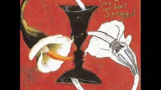 Toad the wet sprocket - Something's always wrong