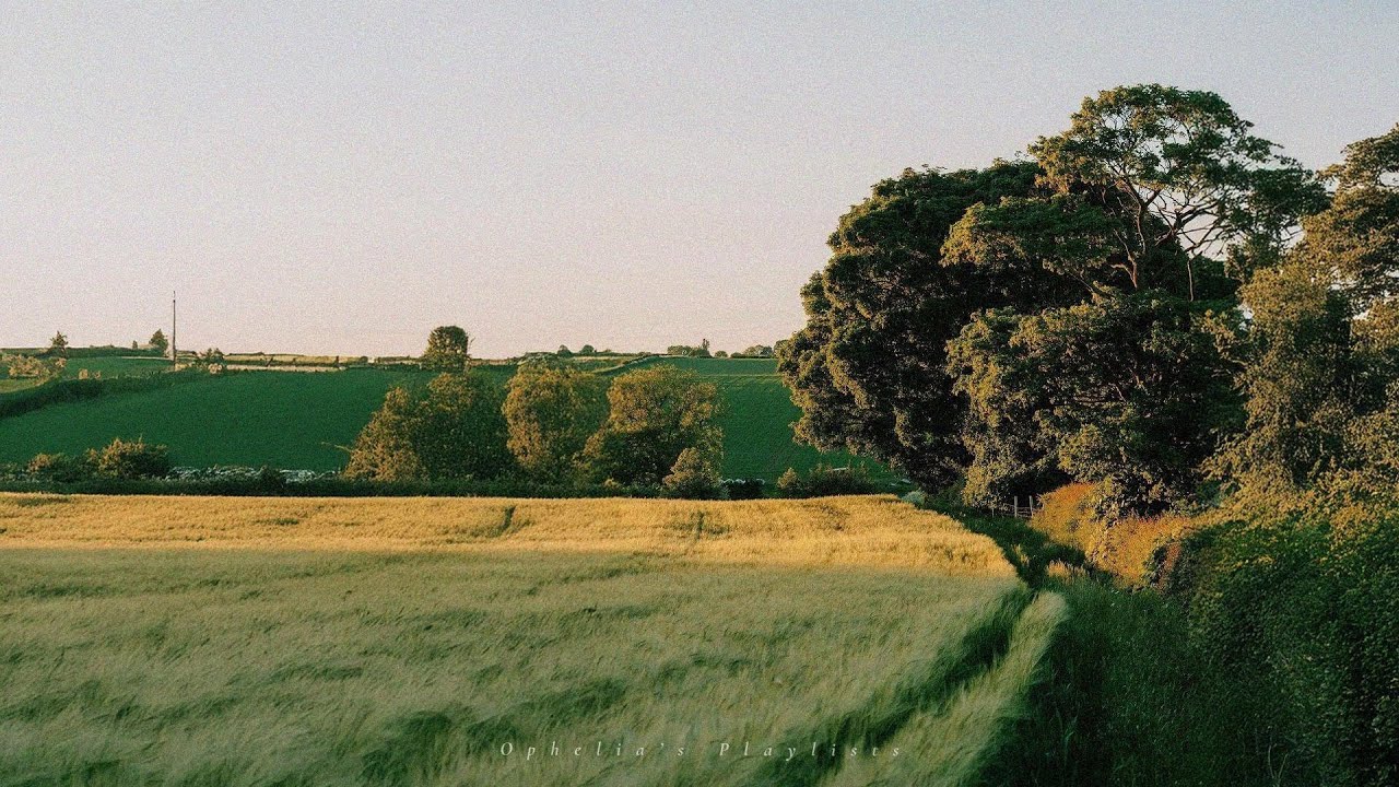 a comfortable playlist for the first scent of spring