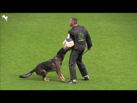 FCI IPO WM 2016 SLOVENIA Vassilis Balakas & Aris Mohnwiese C:92