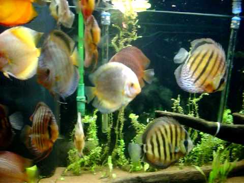 220 gallons - 090910