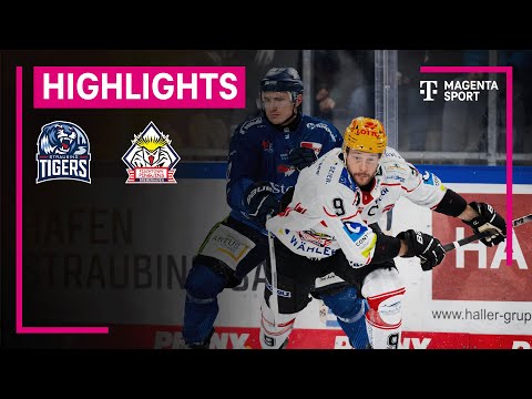 Straubing Tigers - Pinguins Bremerhaven | PENNY DEL | MAGENTA SPORT