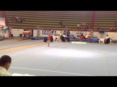 BRASILEIRO ADULTO CI ARACAJU 2014   JARED AZZARINI FX