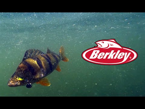 Berkleys mest sålda bete - Pulse Spintail