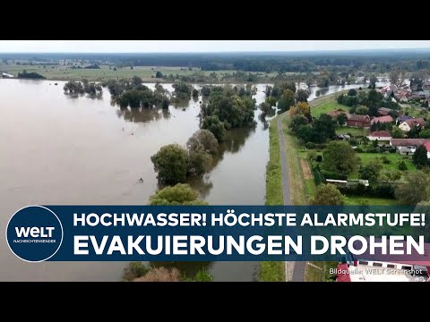 Video Thumbnail: HOCHWASSER AN DER ODER: Höchste Warnstufe! Pegel steigt - Evakuierungen drohen!