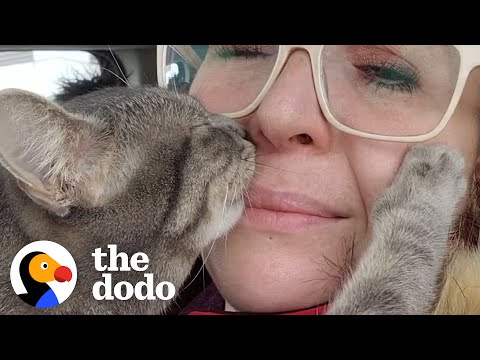 Clingy Cat Becomes Local Celebrity | The Dodo