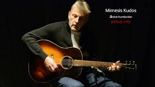 Video thumbnail for comparison: 4 magnetic sound hole acoustic guitar pickups by Robert Hasleder
