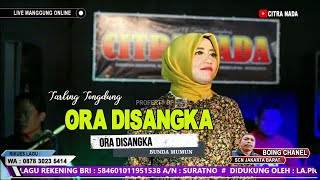 Download lagu ORA DISANGKA ~ BUNDA MUMUN || CITRA NADA LIVE MANGGUNG ONLINE mp3 Download lagu ORA DISANGKA ~ BUNDA MUMUN || CITRA NADA LIVE MANGGUNG ONLINE mp3