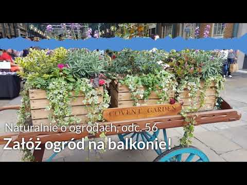 , title : 'NoO 56: Załóż ogród na balkonie'