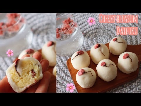 download lagu mp3 mp4 Salt Cured Cherry Blossoms, download lagu Salt Cured Cherry Blossoms gratis, unduh video klip Salt Cured Cherry Blossoms