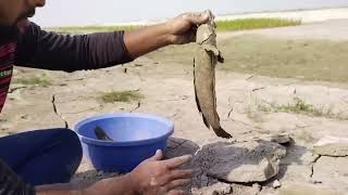 Amazing Boy Fishing in Dry Season | Catching Monster Fish in River Side Secret Hole | Hand Fishing |