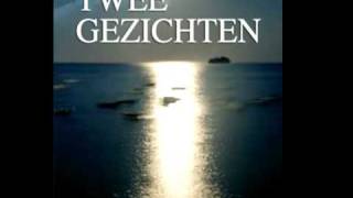 TWEE GEZICHTEN  -  roman van Ellis Overbeek  -  muziek: Frank Boeijen