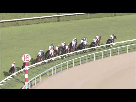 2018 Kikuka Sho (Japanese St. Leger) (G1)