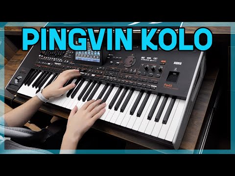PINGVIN KOLO | Opasan SAX - KORG Pa4x!