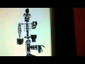 HYBRID FRANKEN ENDOSKELETON SINGS FNAF Fan Made Photosh