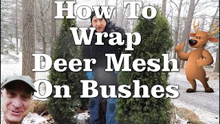 Meshing Around with Deer Fencing!