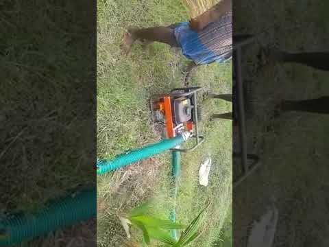 Agriculture Water Pump