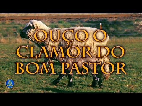 Hinário Adventista 467 - OUÇO O CLAMOR DO BOM PASTOR