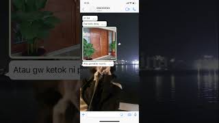 Download lagu #pov:Ada orang asing yang minta pap bodymu #trending #fakechat #povchat #chat  #whatsmockpov #shorts mp3