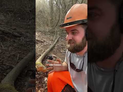 Three Ways To Kill Trees