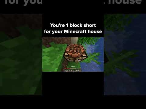 Losing your mind over 1 block in Minecraft?!
