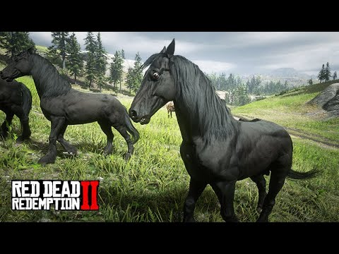 Buying 4 Friesian Horses - John Marston's Farm - Red Dead Redemption 2