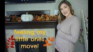 TWIN PREGNANCY UPDATE WEEKS 13 &amp; 14