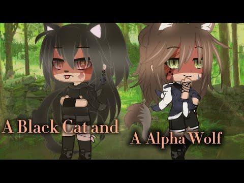 ||⚫️A Black Cat and A Alpha Wolf🔘||Glmm||Bi,Lesbian,Straight ￼🏳️‍🌈||Gacha Club||