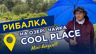Рибалка в Києві: Озеро Чайка (Ribalka Cool Place) — ціни, умови, риба, відгуки