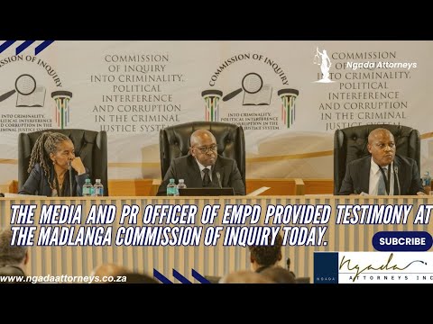 Witness D testifies at the Madlanga Commission