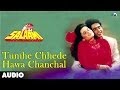 Salaami : Tumhe Chhede Hawa Chanchal Full Audio Song | Ayub Khan |Samyukta