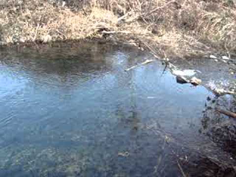 Pishina te Vrella - Miratoc