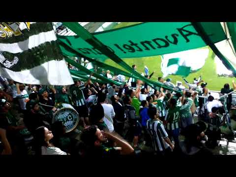 "Hoje eu vim te apoiar" Barra: Curva 1909 &bull; Club: Coritiba