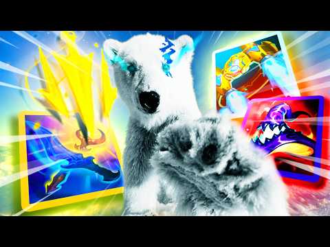 THE CRAZIEST VOLIBEAR TOP BUILD