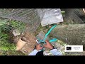 Teknik Tarik Pokok Kelapa Menggunakan Kabel Coconut Tree Pulling Uprooting Rigging Techniques