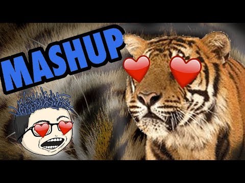 What Eyes Love - Survivor vs. Haddaway [MASHUP]