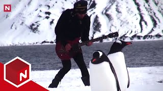 Penguin Song Musikkvideo
