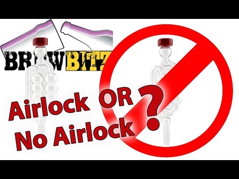 Do you need an AirLock when brewing? Can you brew without an airlock?