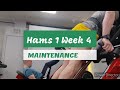 DVTV: Maintain Hams 1 Wk 4