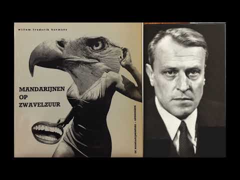 W.F. Hermans discusses 'Mandarins on Sulphuric Acid'