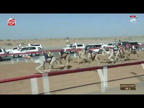  ش 21 (جلاد) لـ سالم غاسي حمد الجنيبي 2:16:7 , تسعيرة بن حماد الشامسي 2026/04/18 فطامين 