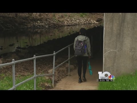 Second Swastika near Hollins University removed; Jewish Community leaders speak out