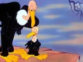 Looney Tunes- no no nope beaky buzzard 