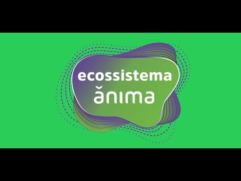 V – Como serei avaliado(a)? E2A - Ecossistema Ânima de Aprendizagem