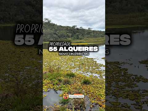 EXCELENTE PROPRIEDADE 55 ALQUEIRES NOVO CRUZEIRO-MG R$ 1.8 MILHÕES #luxo #rural #roça #brasil #agro