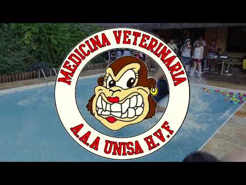 "ChurraCão" Vet. Unisa