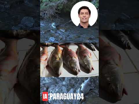 ⚠️ ALERTA en Paso Yobái: ¡Mercurio en Humanos y Agua! 🇵🇾 #Shorts