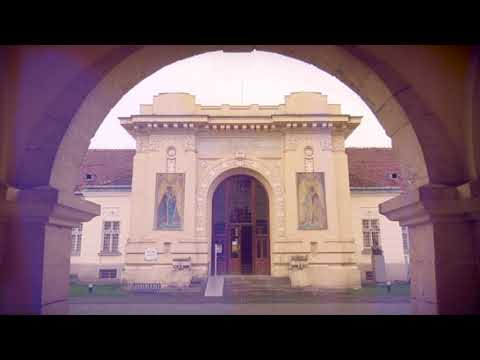 Unirile Românilor - episodul 6, Marea Unire