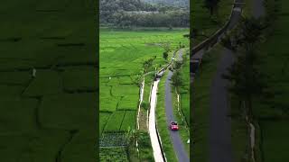 Download lagu Ini lho VW dikulon progo Yogyakarta -Geblek pari #geblekpari #kulonprogo mp3